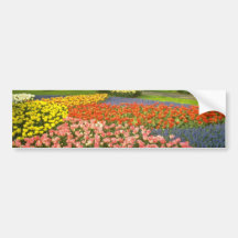 yellow Keukenhof Gardens near Haarlem, Netherlands Bumper Sticker