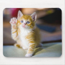 yellow kitten with his paw held up waving mouse pad