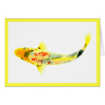 Yellow Koi Cards
