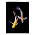 Yellow Koi Pair with Japanese Proverb Greeting Card