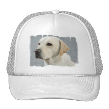 Yellow Lab  Baseball Hat