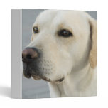 Yellow Lab Binder binders