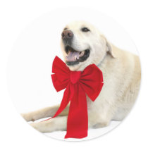 Yellow lab Christmas sticker by deemac1 Yellow lab Christmas sticker
