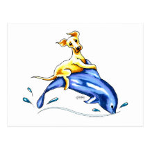 Yellow Lab Dolphin Ride Post Cards