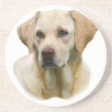 YELLOW LAB  FAITHFUL FRIEND COASTER