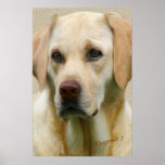 Yellow Lab Faithful Friend Mini Poster