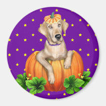 Yellow Lab Halloween Labr-O-Lantern magnets