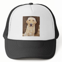 Yellow Lab hats