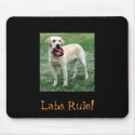 Yellow Lab, Labs Rule! mousepads