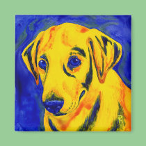 Yellow Lab Magnet - "Archie"