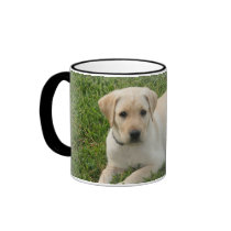 Yellow Lab mugs