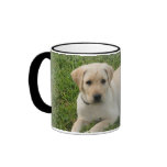 Yellow Lab Mugs