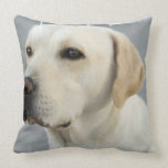 Yellow Lab Pillow