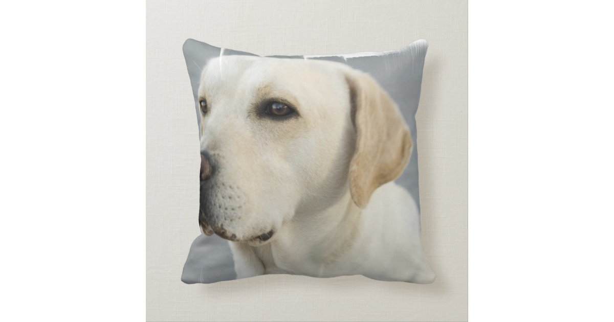 yellow lab throw pillows