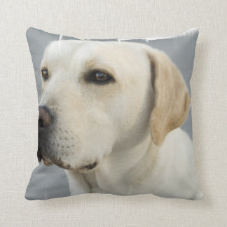 yellow labrador pillow