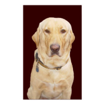Yellow Lab posters