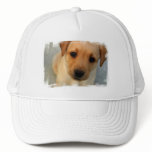 Yellow Lab Puppy Baseball Hat
