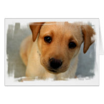 Yellow Lab Puppy Greeting Card