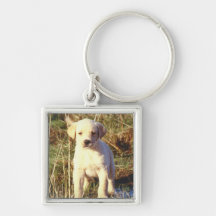 Yellow Lab Puppy Key Chain