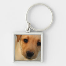 Yellow Lab Puppy Keychain