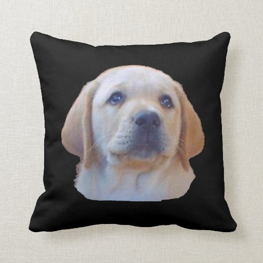 Yellow Lab Puppy Pillow Zazzle