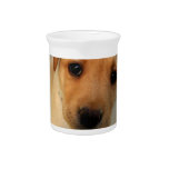 Yellow Lab Puppy Pitcher