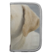 Yellow Lab Wallet Organizers