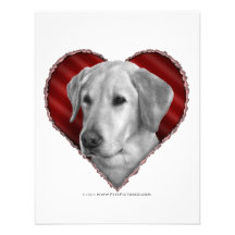 Yellow Lab with Heart Invitations