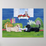 Yellow Labrador & Black Labrador Art Print