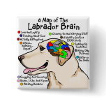 Yellow Labrador Brain Atlas Pinback Buttons