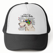 Yellow Labrador Brain Atlas Hat