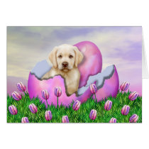 Yellow Labrador Easter Surprise cards