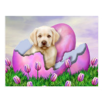 Yellow Labrador Easter Surprise postcards