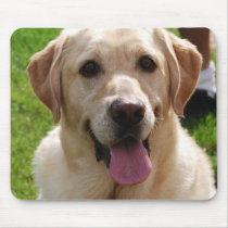 Yellow Labrador mousepads by traveller9 Yellow Labrador mousepads