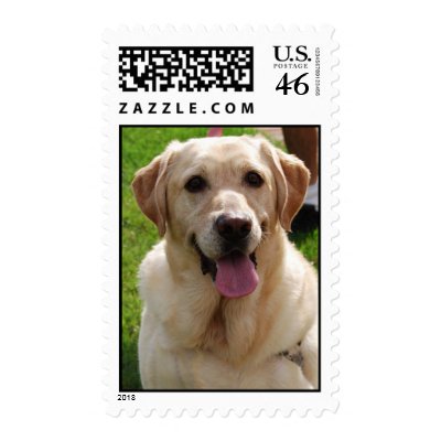 Yellow Labrador Stamps by traveller9