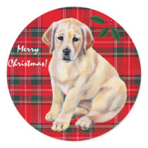 Yellow Labrador Puppy Tartan stickers