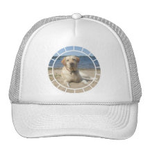 Yellow Labrador Retriever Baseball Hat