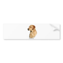 Yellow Labrador Retriever bumper stickers