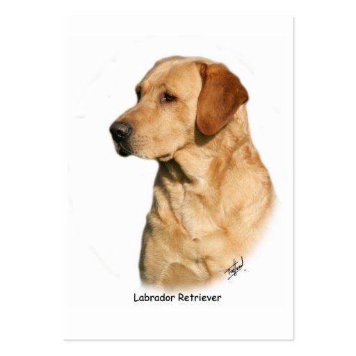 Yellow Labrador Retriever Business Cards