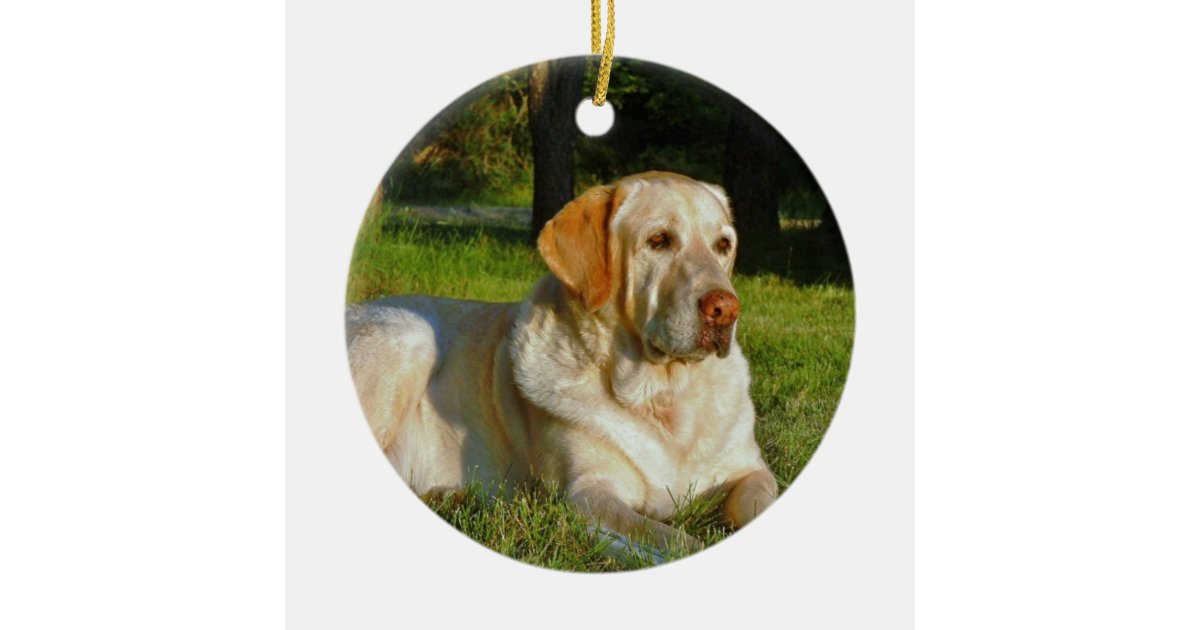 yellow labrador retriever ceramic ornament zazzle yellow labrador retriever ceramic ornament zazzle