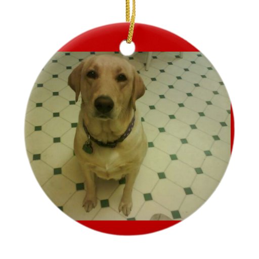 yellow labrador retriever double sided ceramic round yellow labrador retriever double sided ceramic round