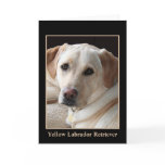 Yellow Labrador Retriever Greeting Card (blank)