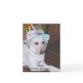 Yellow Labrador Retriever...