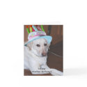 Yellow Labrador Retriever in Birthday Hat cards