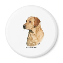 Yellow Labrador Retriever magnets