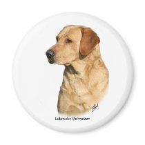 Yellow Labrador Retriever magnets