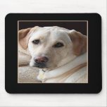 Yellow Labrador Retriever Mousepad