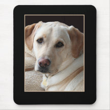 Yellow Labrador Retriever Mousepad