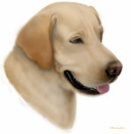 Yellow Labrador Retriever Ornament photo sculptures