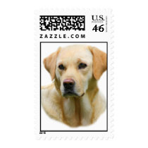 Yellow Labrador Retriever Postage